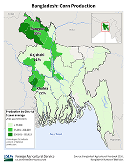 images\BG\cropprod\Bangladesh_Corn_preview.png